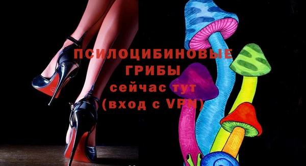стафф Семилуки