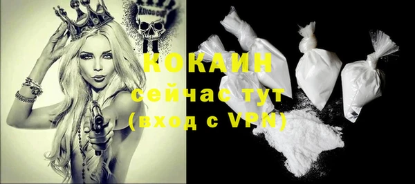стафф Семилуки
