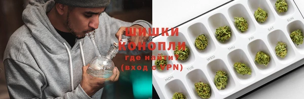 spice Снежногорск