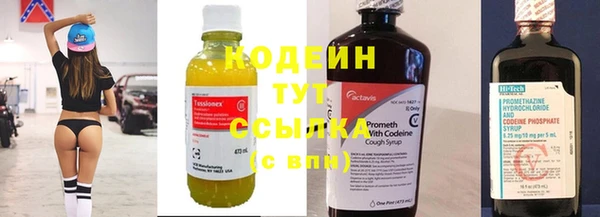 ГАЛЛЮЦИНОГЕННЫЕ ГРИБЫ Семёнов