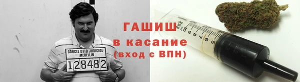 ГАЛЛЮЦИНОГЕННЫЕ ГРИБЫ Семёнов