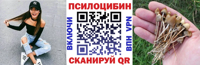 нарко площадка Telegram  Усмань  Галлюциногенные грибы мухоморы 